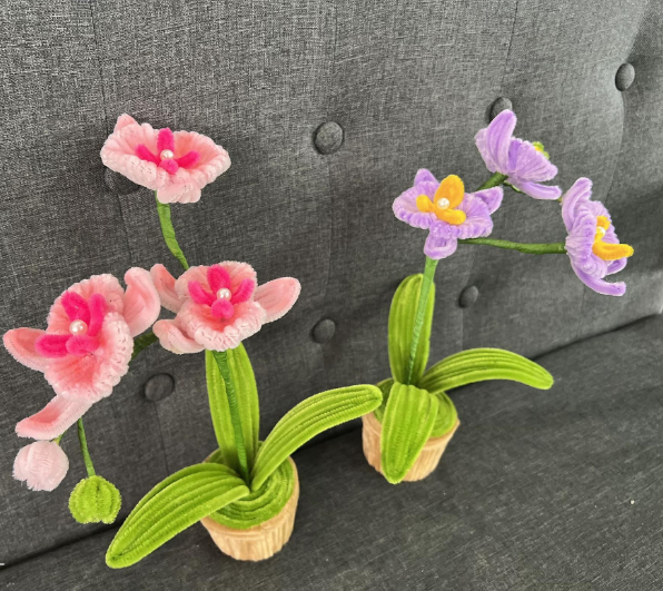 Eksplorasi Warna Lembut